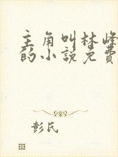 主角叫林峰宁欣的小说免费阅读全文