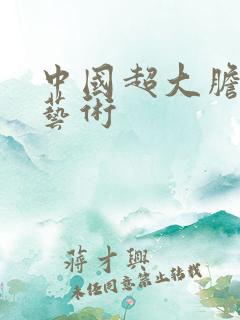 中国超大胆人体艺术