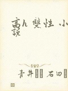 高h 双性 小说