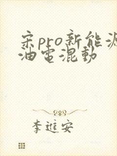 宋pro新能源油电混动