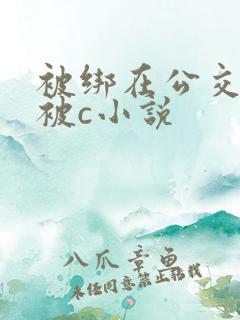 被绑在公交车里被c小说