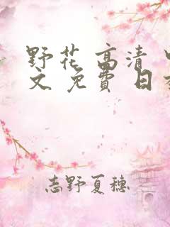 野花 高清 中文 免费 日本