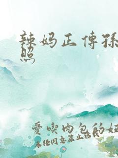 辣妈正传孙俪剧照