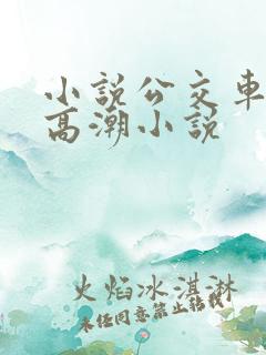 小说公交车被上高潮小说