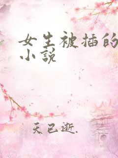 女生被插的羞羞小说