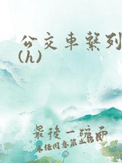 公交车系列小说(h)