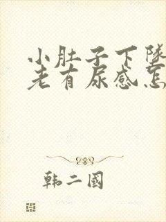小肚子下坠胀疼老有尿感怎么回事