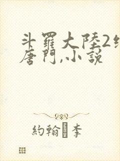 斗罗大陆2绝世唐门,小说