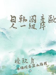 日韩国产欧美成人一级片