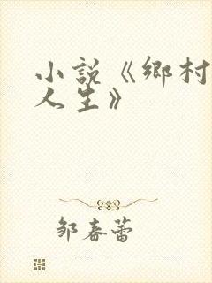 小说《乡村极品人生》