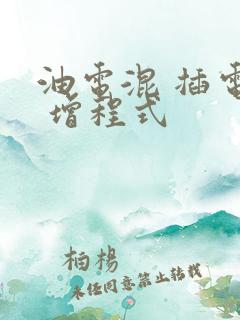 油电混 插电混 增程式