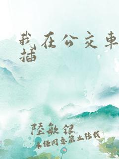 我在公交车上被插