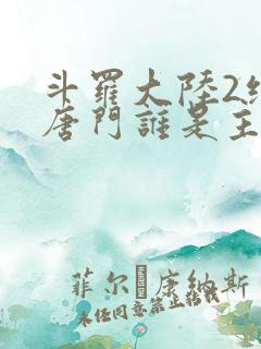 斗罗大陆2绝世唐门谁是主角