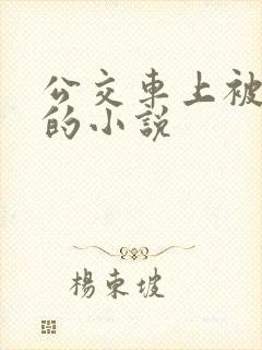 公交车上被玩弄的小说