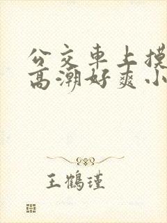 公交车上摸到我高潮好爽小说