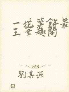一坨薯饼最佳野王笔趣阁