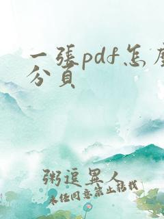 一张pdf怎么分页