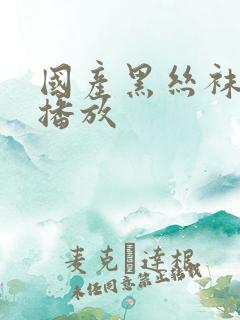 国产黑丝袜在线播放