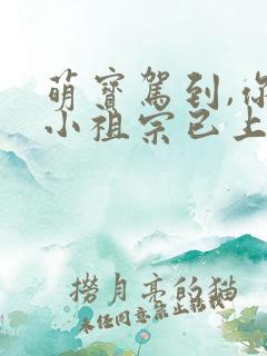 萌宝驾到,你的小祖宗已上线