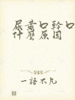 尿黄口干口苦是什么原因