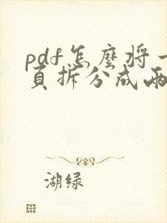 pdf怎么将一页拆分成两页