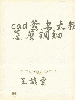 cad签名太粗怎么调细