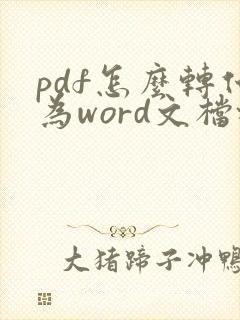pdf怎么转化为word文档格式