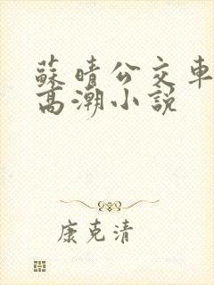 苏晴公交车被弄高潮小说