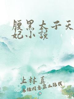 腹黑太子天降萌妃小说