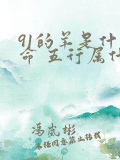 91的羊是什么命 五行属什么