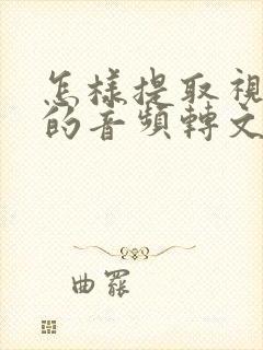 怎样提取视频中的音频转文字