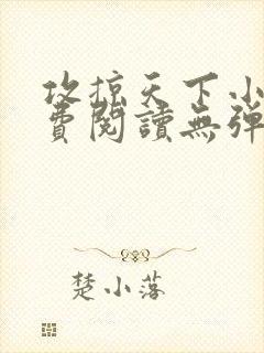 攻掠天下小说免费阅读无弹窗