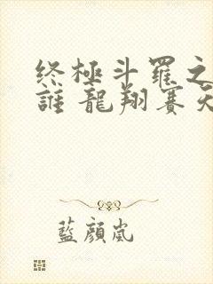 终极斗罗之我是谁 龙翔赛天