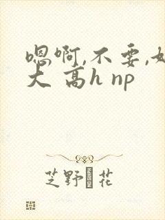 嗯啊,不要,好大 高h np