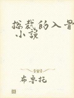 总裁的入骨宠妻 小说