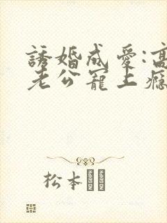 诱婚成爱:高冷老公宠上瘾