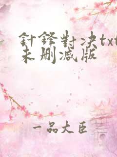 针锋对决txt未删减版