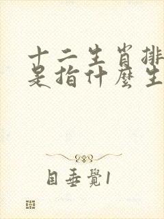 十二生肖排第六是指什么生肖
