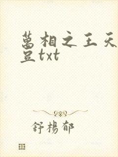 万相之王天蚕土豆txt