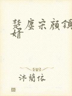 楚尘宋颜镇国神婿