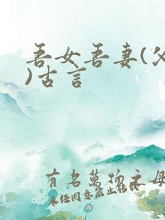 吾女吾妻(父女)古言