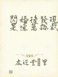 闪婚后发现老公是亿万总裁小说免费阅读