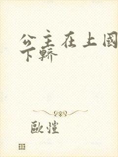 公主在上国师请下轿