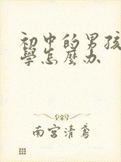 初中的男孩子厌学怎么办