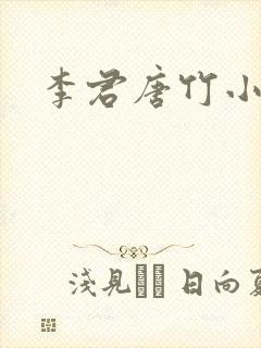 李君唐竹小说