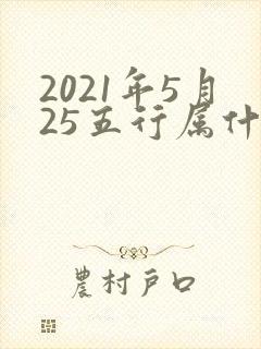 2021年5月25五行属什么