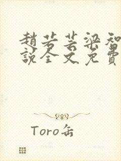 赵若芸梁智熏小说全文免费阅读
