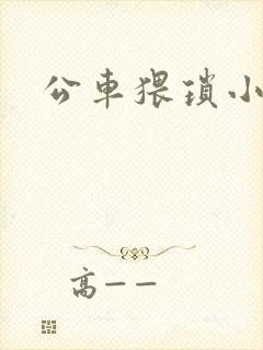 公车猥琐小说