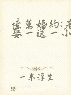 亿万婚约:老婆娶一送一小说免费阅读全文