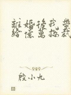离婚后我带崽嫁给亿万总裁